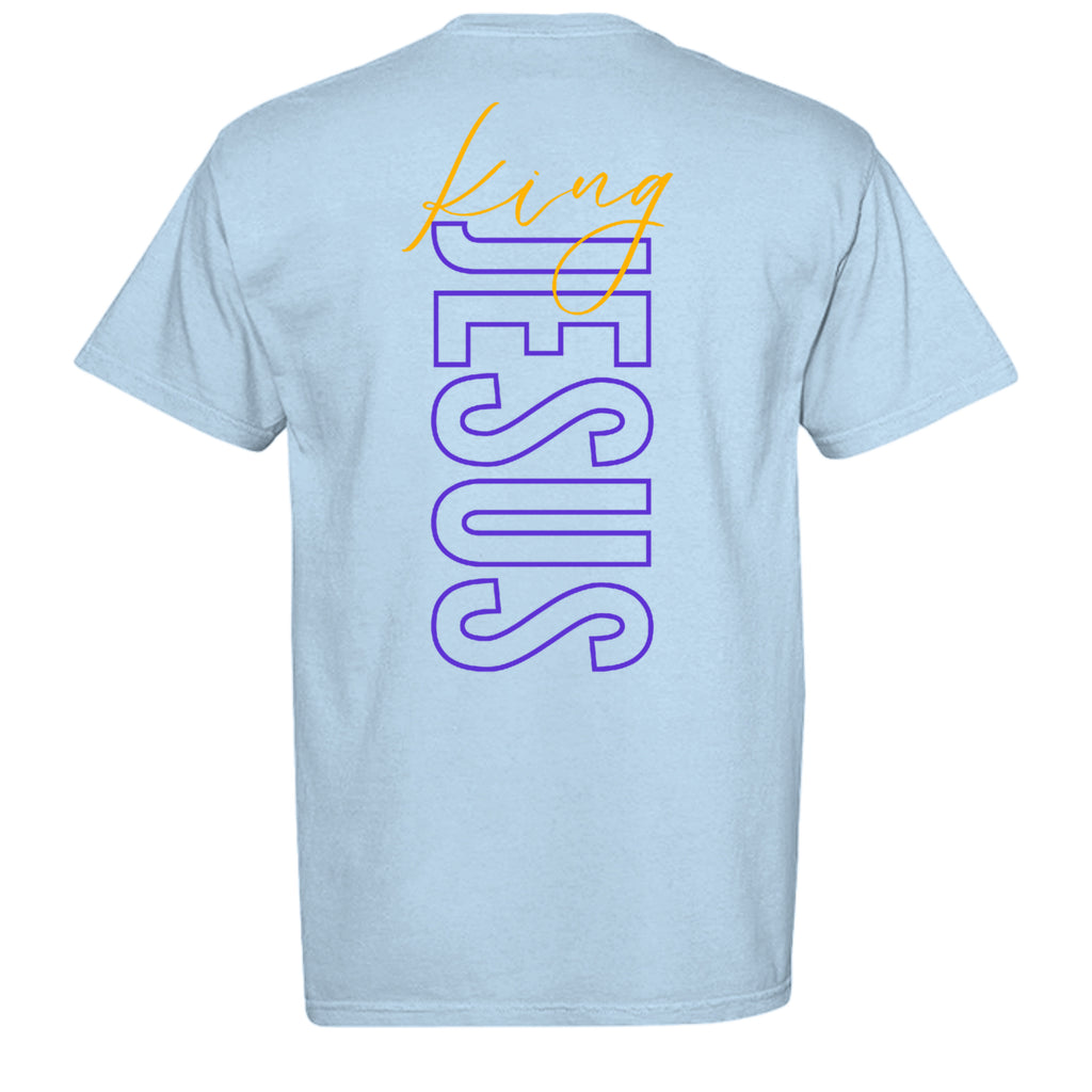 Hydrangea - C1717 - BACK